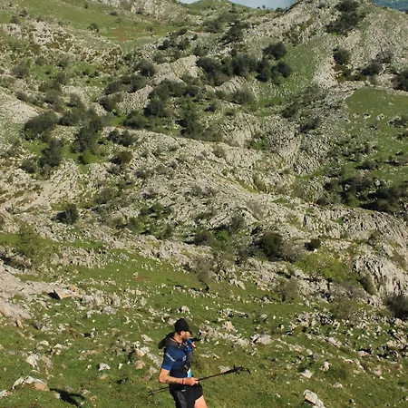 Olas Y Flores Silvestres 2