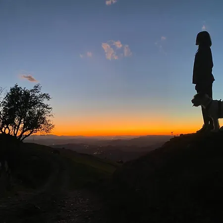 Olas Y Flores Silvestres 2