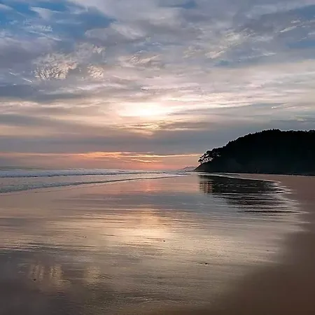 Semesterbostad Olas Y Flores Silvestres 2