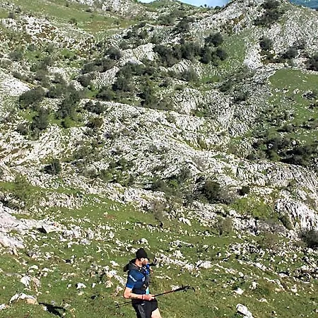 Semesterbostad Olas Y Flores Silvestres 2 *