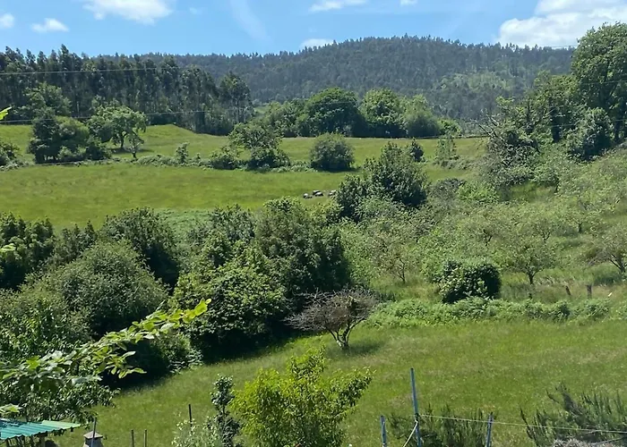 Olas Y Flores Silvestres 2 Colunga
