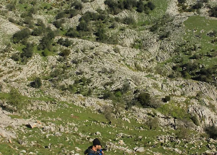 Olas Y Flores Silvestres 2