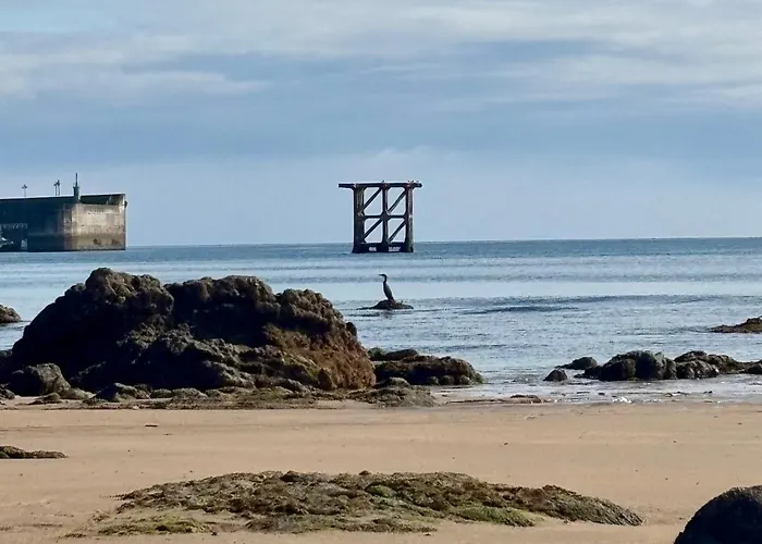 Olas Y Flores Silvestres 2 Сasa de vacaciones *