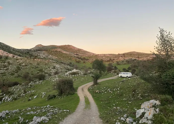 Olas Y Flores Silvestres 2 Colunga