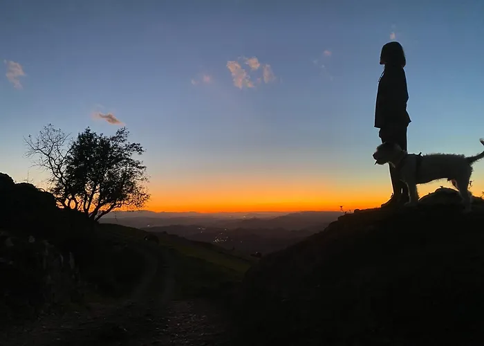 Olas Y Flores Silvestres 2